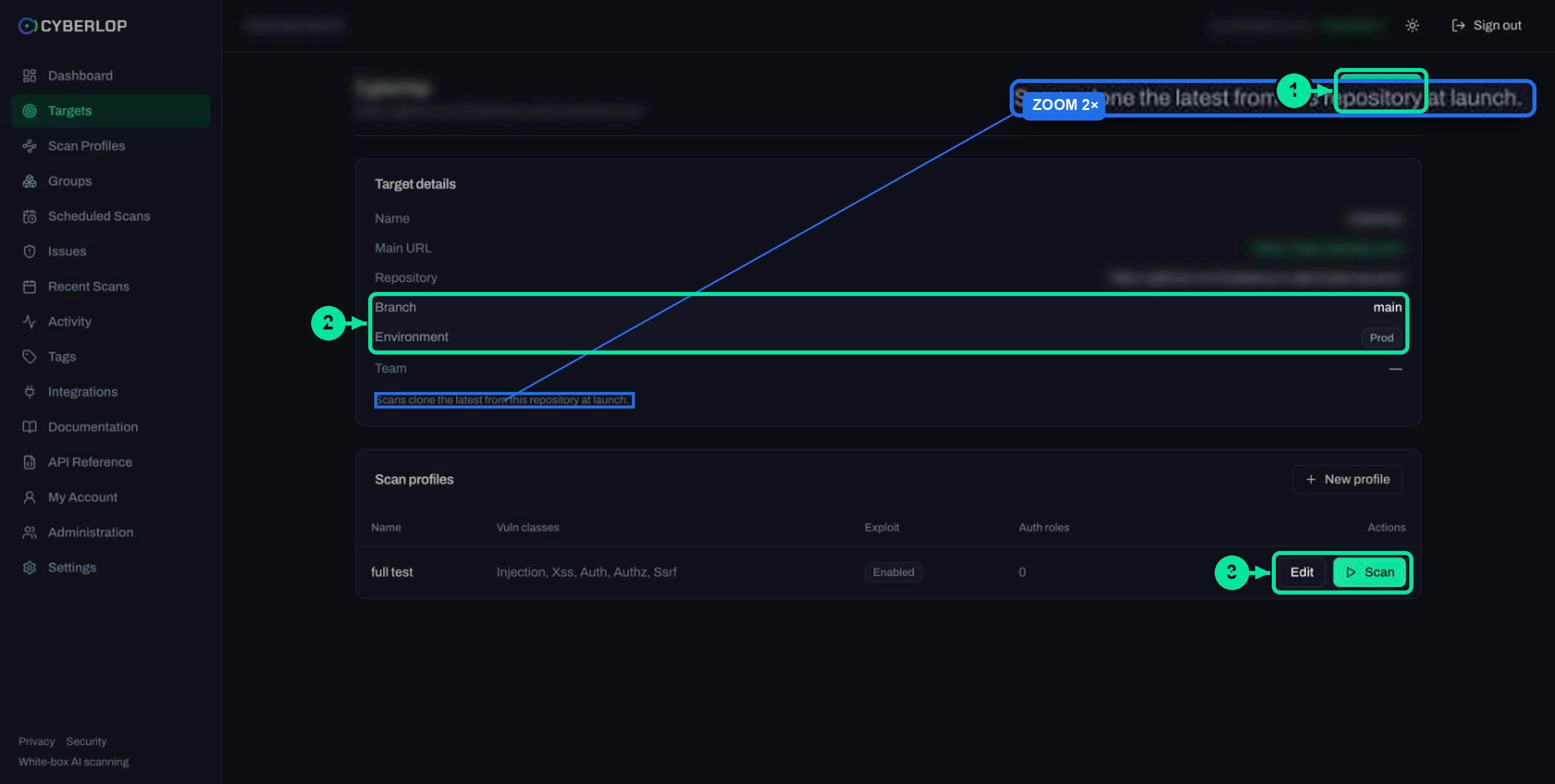 Target detail page for a white-box target showing repository, branch, environment and its scan profiles