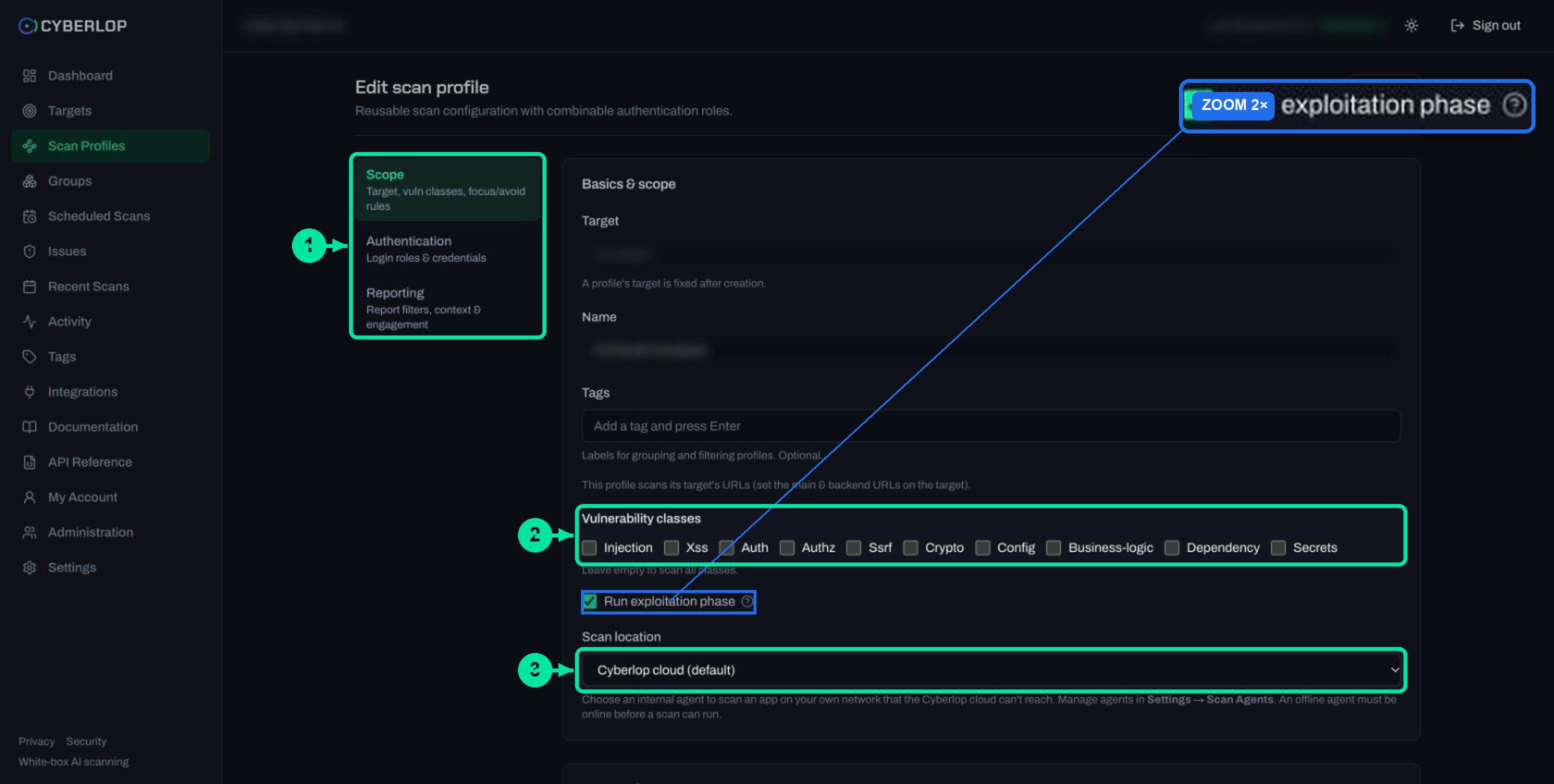 Scan profile Scope section with fixed target, vulnerability class checkboxes, exploitation toggle and scan location