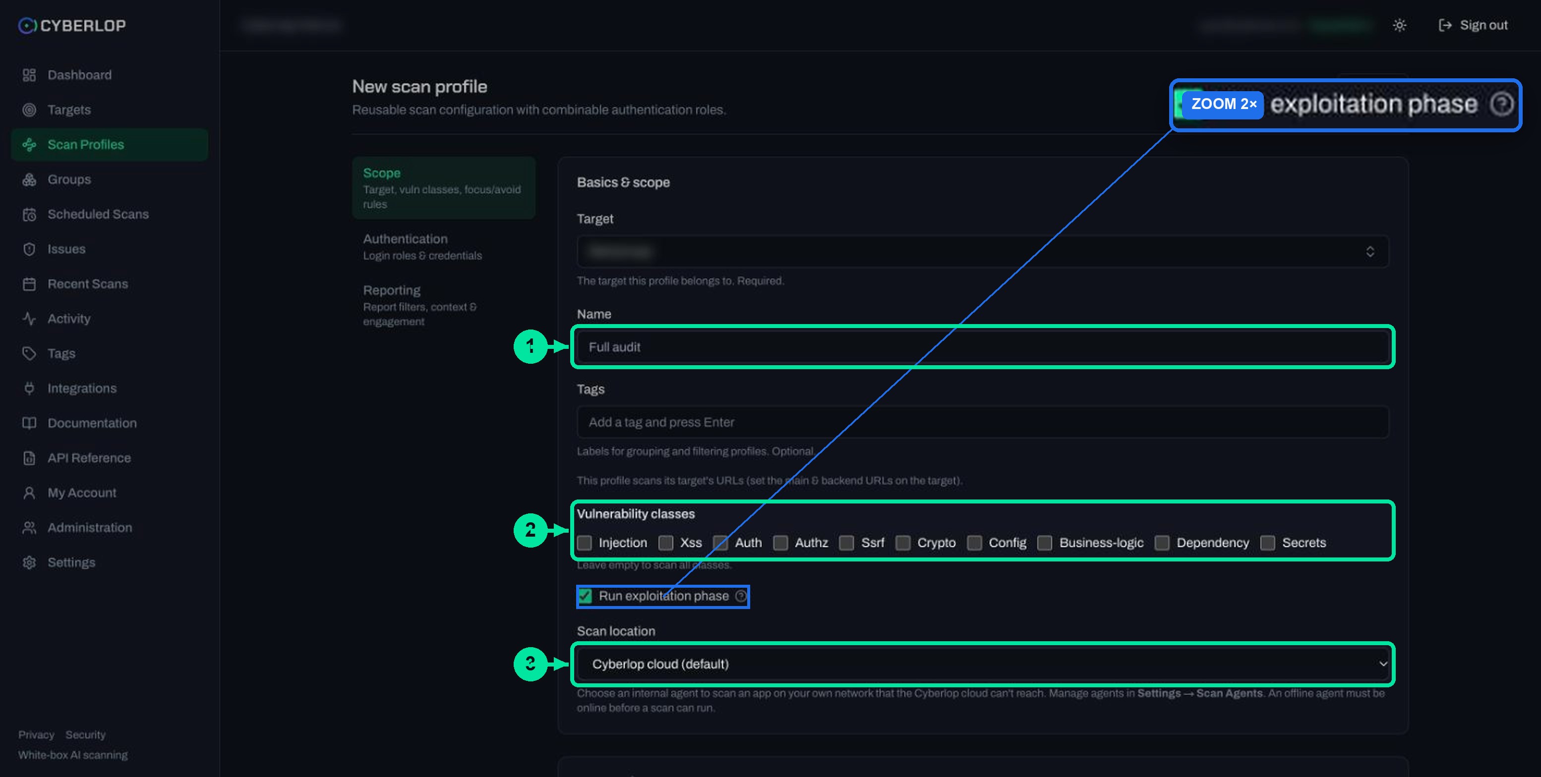 New scan profile page on the Scope section with target, name, tags, vulnerability classes and exploitation checkbox