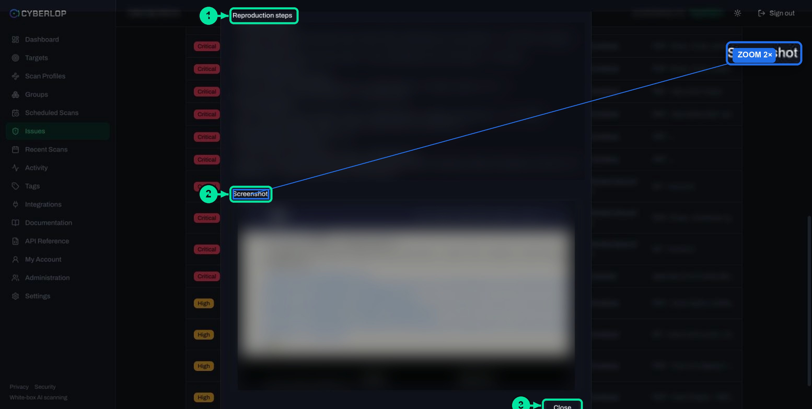 Issue dialog Evidence tab with numbered reproduction steps and a browser screenshot
